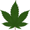 Cannabis-leaf-md